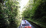 Leafy suburbs of Birmingham
