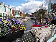 The river through Reading