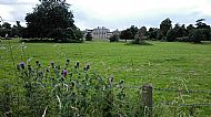Shugborough hall