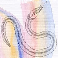 The Rainbow Serpent