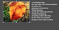 A Springtime Sign