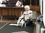 Agility Training March 2018