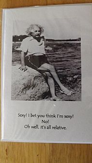 Sexy Einstein