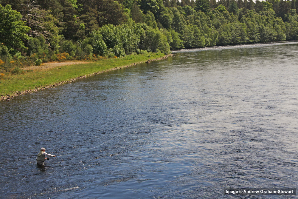 NC500 Fishing Best Salmon Rivers in North Invernessshire