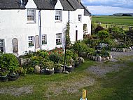 Bed and Breakfast Single Room