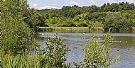 holmebrooke lake