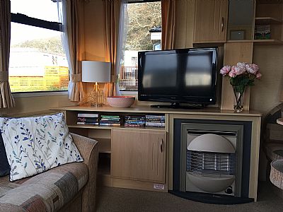 tv and gas fire