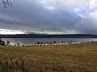 Overview of the caravan site