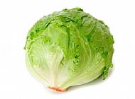 Iceberg lettuce