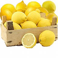  Large Lemon
