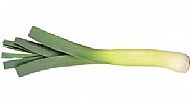 IOW Leek