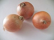 Large onion