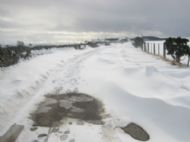 The road