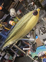 jack the kipper (yellow belly)