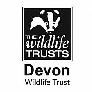 Devon Wildlife Trusts