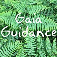 Gaia Guidance