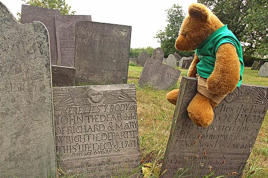big ted sitting on a belvoir angel