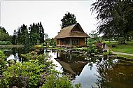 Japanese Gardens
