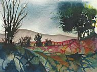Kevin O'Neill
