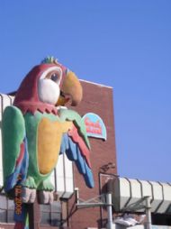 Pleasure Beach