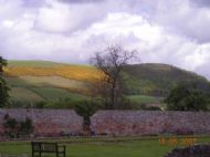 Scottish Border
