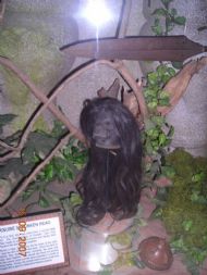 Shrinkhead