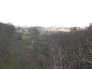 Bothwell Castle
