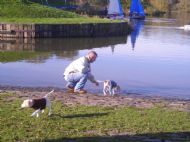 at Linlithgo Loch
