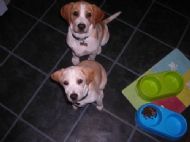 ..waiting for food