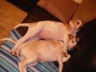 having a deep sleep...
