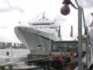 Big cruiser 