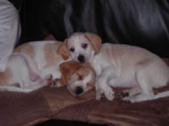 Emma and Polly