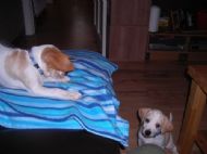 Playing time