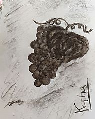 Bunch of grapes