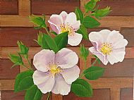 Cathy Reid M Des RCA,  Snowbush Rose