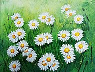 Cathy Reid M Des RCA, Daisies in the Grass