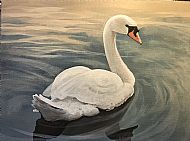 David Turner OBE, Mute Swan
