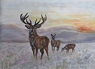 Gaye Thornton-Kemsley, Stag and Does in Winter Sunshine