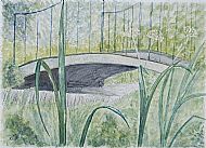 Judith Scurfield Wells, Down by the Burn