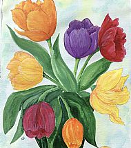Margaret-Anne Mackie , Tulips