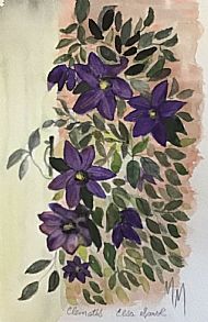 Margaret Muiry, Clematis, Elsa Spath