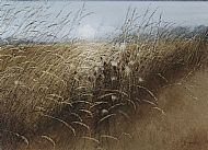 David E Johnston RSW, September Thistledown