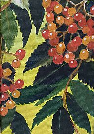 Rowan Berries