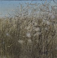 Thistledown Study 2 SOLD