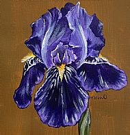 Iris 2 SOLD