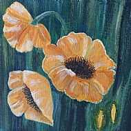 Poppies