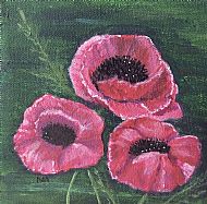 Poppies 2