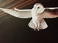 44 Cathy Reid M Des RCA