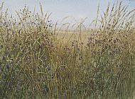 26 David E Johnston RSW