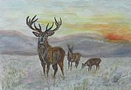 57 Gaye Thornton-Kemsley